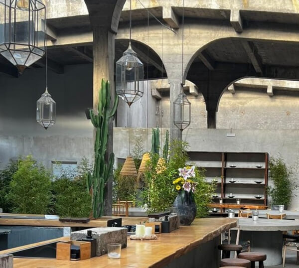 affitto piante milano